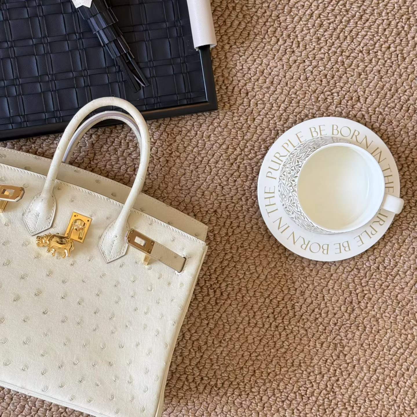 Hermès Birkin 25 Craie Ostrich Gold Hardware - Image 15