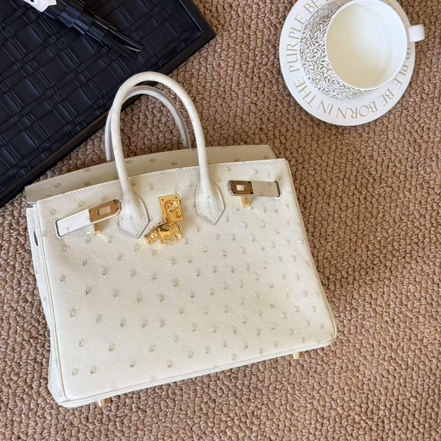 Hermès Birkin 25 Craie Ostrich Gold Hardware - Image 14