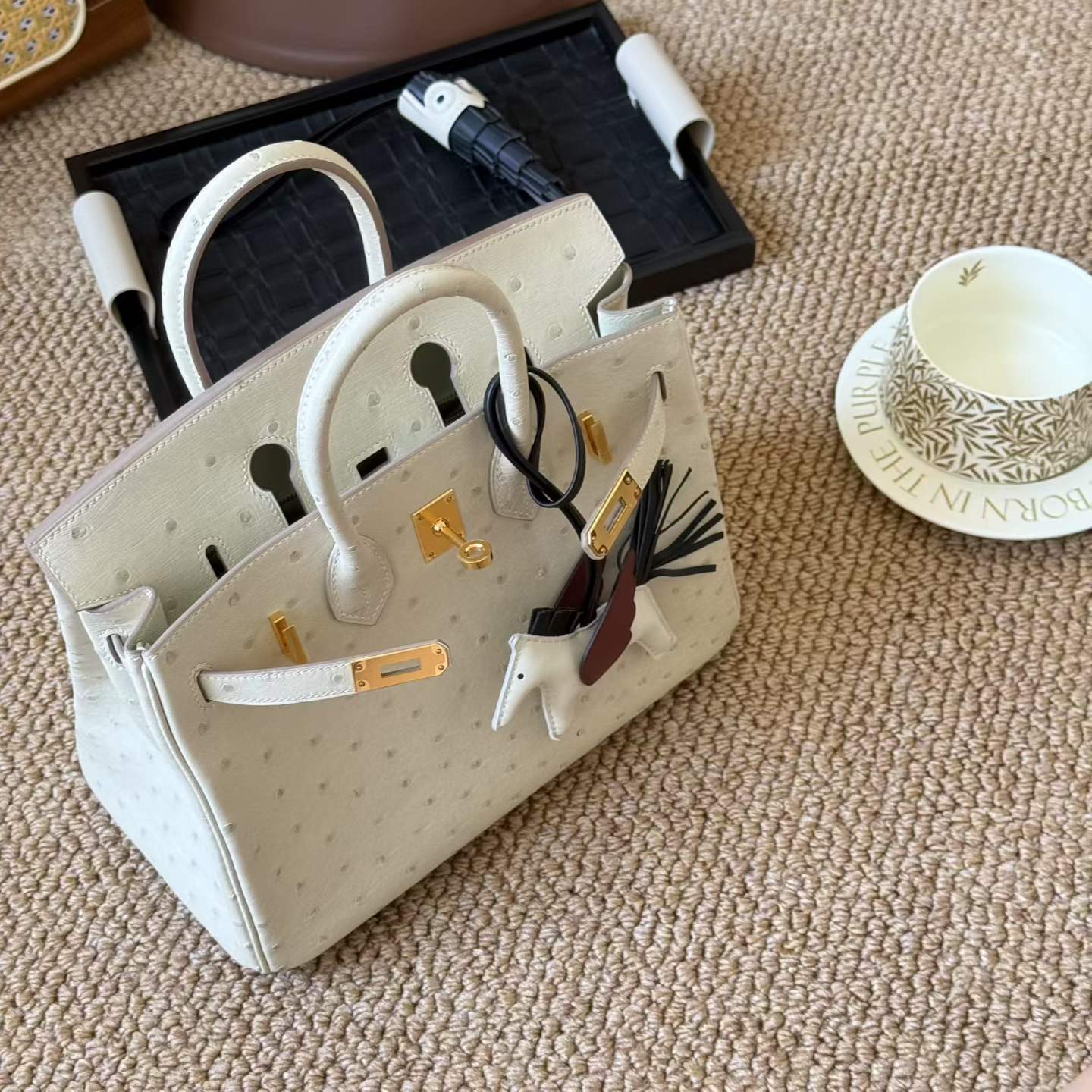 Hermès Birkin 25 Craie Ostrich Gold Hardware - Image 4