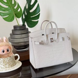 Hermès Birkin 25 Beton Matte Crocodile Palladium Hardware