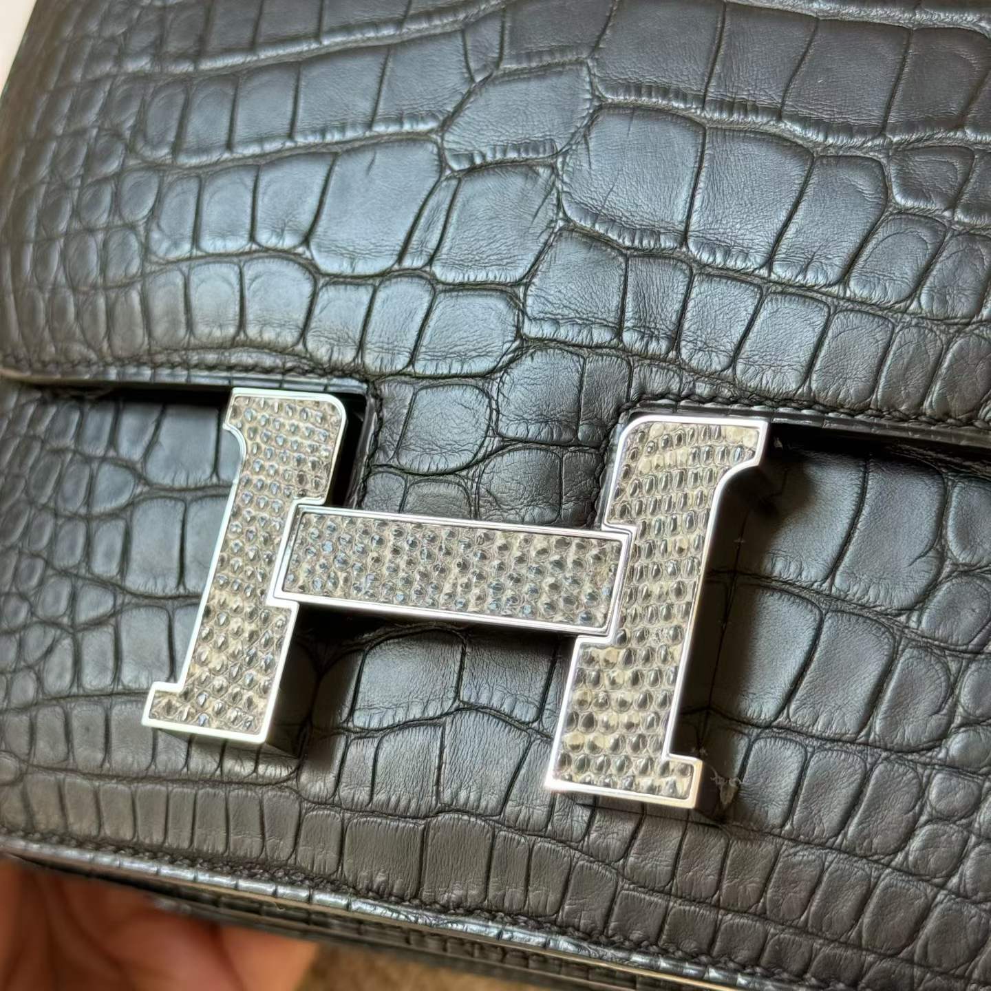 Hermès Constance 18 Black Matte Omber Lizard Hardware - Image 2