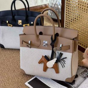 Hermès Birkin 25 Biscuit Toile Palladium Hardware